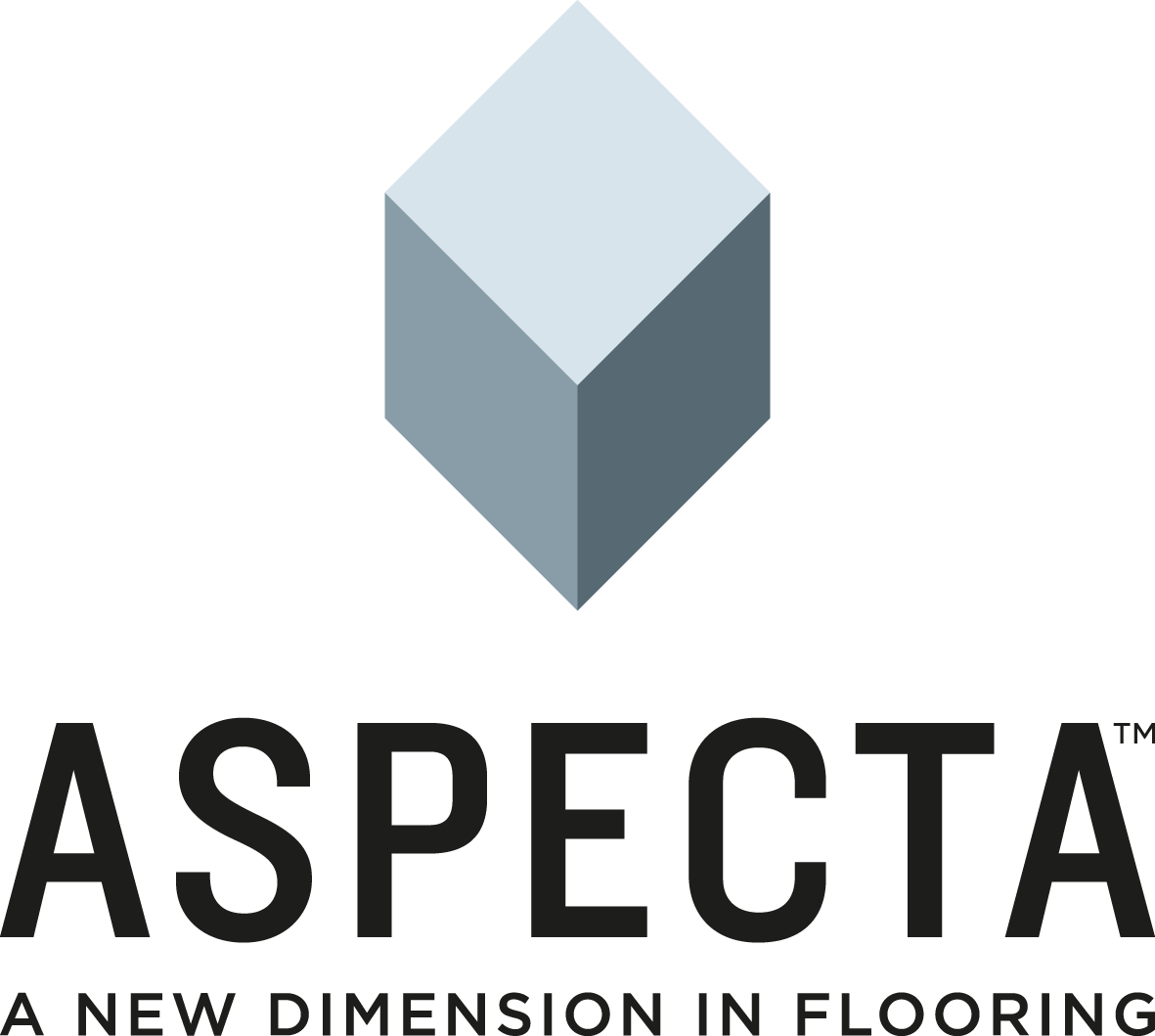 ASPECTA_Logo_Primary_RGB (1)
